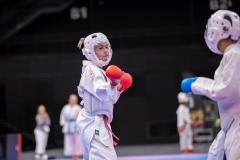 Kumite,Basel,2026,International Basel Open Masters,Joël Singh,Elson Sport & Karate