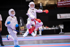 Kumite,Basel,2026,International Basel Open Masters,Joël Singh,Elson Sport & Karate