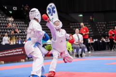 Kumite,Basel,2026,International Basel Open Masters,Jonas Andronic,Champions-Karate Haßloch
