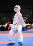 Kumite,Basel,2026,International Basel Open Masters,Colin McGuinness,Shukokai Dojo Wetzikon-Volketswil-Winterthur