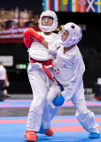 Kumite,Basel,2026,International Basel Open Masters,Aljan Ali,Shukokai Dojo Wetzikon-Volketswil-Winterthur