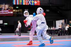 Kumite,Basel,2026,International Basel Open Masters,Aljan Ali,Shukokai Dojo Wetzikon-Volketswil-Winterthur