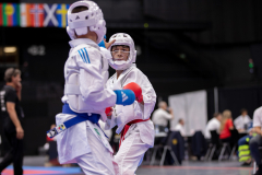 Kumite,Basel,2026,International Basel Open Masters,Aljan Ali,Shukokai Dojo Wetzikon-Volketswil-Winterthur
