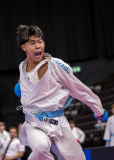 Kumite,Basel,2026,International Basel Open Masters,Karl Ravas,Shukokai Dojo Wetzikon-Volketswil-Winterthur
