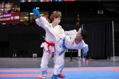 Kumite,Basel,2026,International Basel Open Masters,Karl Ravas,Shukokai Dojo Wetzikon-Volketswil-Winterthur