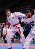 Kumite,Basel,2026,International Basel Open Masters,Milan Carapic,GERMANY