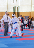 Salzburg, Kumite, Pinzgau, Eurocup, Österreich, 2025, Austria, Mittersill, Colin McGuinness, Shukokai Dojo Wetzikon