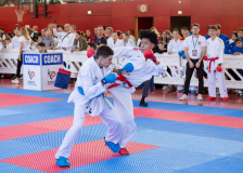 Salzburg, Kumite, Pinzgau, Eurocup, Österreich, 2025, Austria, Mittersill, Karl Ravas, Shukokai Dojo Wetzikon