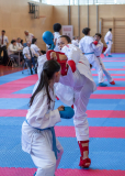 Salzburg, Kumite, Pinzgau, Eurocup, Österreich, 2025, Austria, Mittersill, Katka Krepsova, FIGHT CLUB CZE