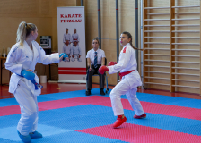 Salzburg, Kumite, Pinzgau, Eurocup, Österreich, 2025, Austria, Mittersill, Shukokai Dojo Wetzikon, Elina Beutler