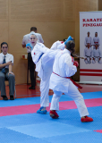 Salzburg, Kumite, Pinzgau, Eurocup, Österreich, 2025, Austria, Mittersill, Leonie Lehner, Leistungszentrum WIEN