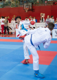 Salzburg, Kumite, Pinzgau, Eurocup, Österreich, 2025, Austria, Mittersill, Karl Ravas, Shukokai Dojo Wetzikon