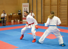 Salzburg, Kumite, Pinzgau, Eurocup, Österreich, 2025, Austria, Mittersill, Larissa De Carlo, Shukokai Dojo Wetzikon