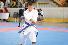 2023, Eurocup, Zell am See, Kata, Colin McGuinness, Österreich, Shukokai Dojo Wetzikon