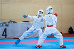 Eurocup,Kumite,Österreich,Leistungszentrum WIEN,Austria,Mittersill,Pinzgau,Lionel Anderl,2026