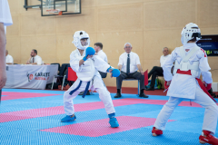 Eurocup,Kumite,Österreich,Shukokai Dojo Wetzikon,Austria,Mittersill,Pinzgau,2026,Aljan Ali
