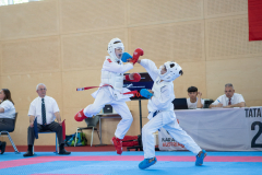 Eurocup,Kumite,Österreich,Shukokai Dojo Wetzikon,Austria,Mittersill,Pinzgau,2026,Aljan Ali