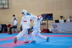 Eurocup,Kumite,Österreich,Shukokai Dojo Wetzikon,Austria,Mittersill,Pinzgau,2026,Aljan Ali