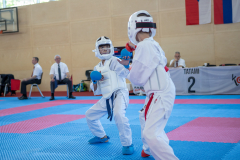 Eurocup,Kumite,Österreich,Shukokai Dojo Wetzikon,Austria,Mittersill,Pinzgau,2026,Aljan Ali
