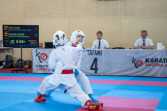 Eurocup,Andrei Negara,Kumite,Österreich,Shukokai Dojo Wetzikon,Austria,Mittersill,Pinzgau,2026