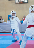 Eurocup,Andrei Negara,Kumite,Österreich,Shukokai Dojo Wetzikon,Austria,Mittersill,Pinzgau,2026