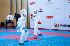 Eurocup,Andrei Negara,Kumite,Österreich,Shukokai Dojo Wetzikon,Austria,Mittersill,Pinzgau,2026