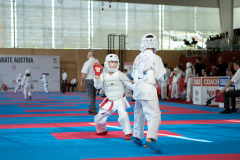 Eurocup,Kumite,Österreich,Arian Ajvazi,Shukokai Dojo Wetzikon,Austria,Mittersill,Pinzgau,2026