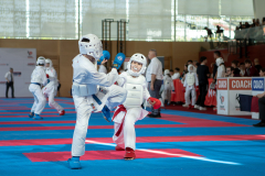 Eurocup,Kumite,Österreich,Arian Ajvazi,Shukokai Dojo Wetzikon,Austria,Mittersill,Pinzgau,2026
