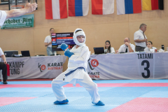 Eurocup,Colin McGuinness,Kumite,Österreich,Shukokai Dojo Wetzikon,Austria,Mittersill,Pinzgau,2026