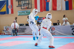 Eurocup,Kumite,Österreich,Shukokai Dojo Wetzikon,Austria,Mittersill,Pinzgau,2026,Aljan Ali
