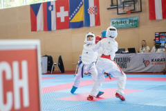 Eurocup,Kumite,Österreich,Shukokai Dojo Wetzikon,Austria,Mittersill,Pinzgau,2026,Aljan Ali