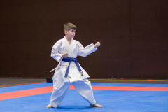 Kata,Basel,Shukokai Dojo Wetzikon,Switzerland,2026,International Swiss Junior Open,Arian Ajvazi