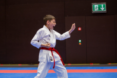 Kata,Basel,Shukokai Dojo Wetzikon,Switzerland,2026,International Swiss Junior Open,Andrei Negara