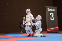 Kumite,Basel,Arian Ajvazi,Shukokai Dojo Wetzikon,Switzerland,2026,International Swiss Junior Open