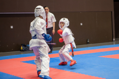 Kumite,Basel,Switzerland,2026,International Swiss Junior Open,Youssuf Masoudi,Karaté Club Grand-Saconnex