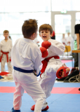 2025, Junior Karate League, Brugg, Windisch, Schweiz, Kumite, Shukokai Dojo Wetzikon, Miron Ajvazi