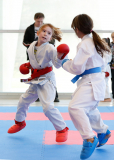 2025, Junior Karate League, Brugg, Windisch, Schweiz, Kumite, Shukokai Dojo Wetzikon, Athina Wigger
