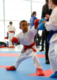 2025, Junior Karate League, Brugg, Windisch, Schweiz, Kumite, Shukokai Dojo Wetzikon, Ferris Freitag
