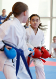 2025, Junior Karate League, Brugg, Windisch, Schweiz, Kumite, Shukokai Dojo Wetzikon, Felicia Sigg
