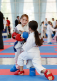 2025, Junior Karate League, Brugg, Windisch, Schweiz, Kumite, Shukokai Dojo Wetzikon, Athina Wigger