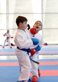 2025, Junior Karate League, Brugg, Windisch, Schweiz, Kumite, Shukokai Dojo Wetzikon, Gaetano Diblasi