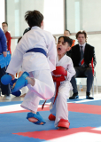 2025, Junior Karate League, Brugg, Windisch, Schweiz, Kumite, Shukokai Dojo Wetzikon, Liam Conte, Deniz Yildirim