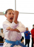 2025, Junior Karate League, Brugg, Windisch, Schweiz, Kata, Shukokai Dojo Wetzikon, Anna Sophia Pfister