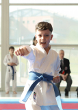 2025, Junior Karate League, Brugg, Windisch, Schweiz, Kata, Shukokai Dojo Wetzikon, Mihailo Babic