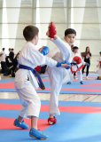 2025, Junior Karate League, Brugg, Windisch, Schweiz, Kumite, Shukokai Dojo Wetzikon, Miraz Karaman