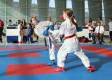 2025, Junior Karate League, Brugg, Windisch, Schweiz, Kumite, Shukokai Dojo Wetzikon, Zoe Keller, Ellie Keller