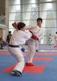 2025, Junior Karate League, Brugg, Windisch, Schweiz, Kumite, Shukokai Dojo Wetzikon, Arian Kesh, Marlo Bugatti