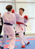 2025, Junior Karate League, Brugg, Windisch, Schweiz, Kumite, Shukokai Dojo Wetzikon, Levin Alber, Dennis Alber