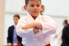2024, Junior Karate League, Brugg, Windisch, Schweiz, Kata, Jori Tahiri