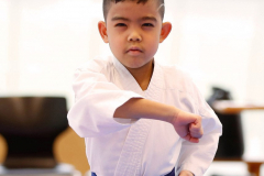 2024, Junior Karate League, Brugg, Windisch, Schweiz, Kata, Matthias Griego